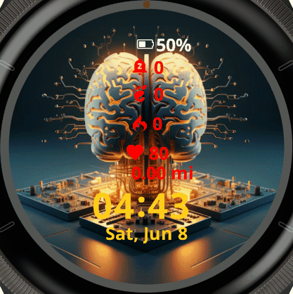 Brain with Circuites