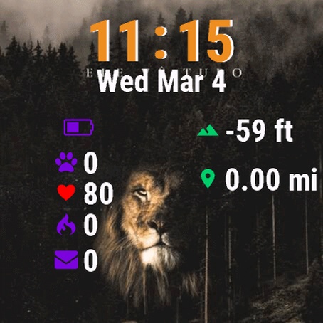 Lion Middle Forest