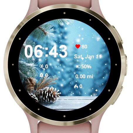 Winter Backdrop