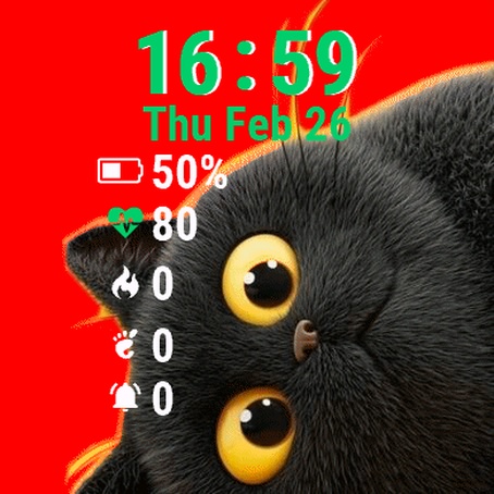 Black Cute Cat