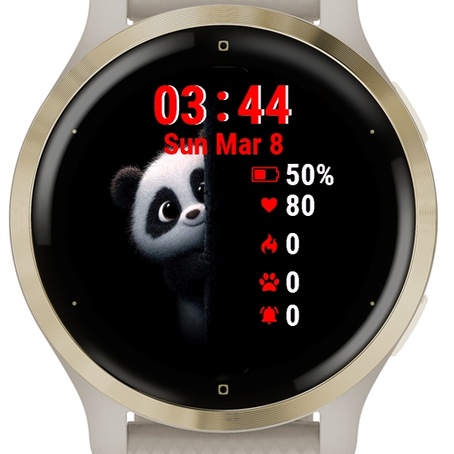 Panda Bear