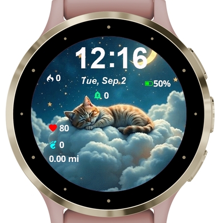 Sleeping Cat