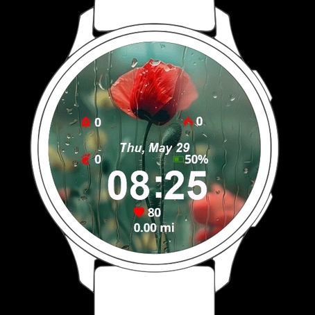 Rose Flowers