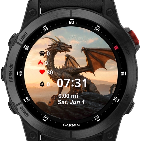 Dragon Flying