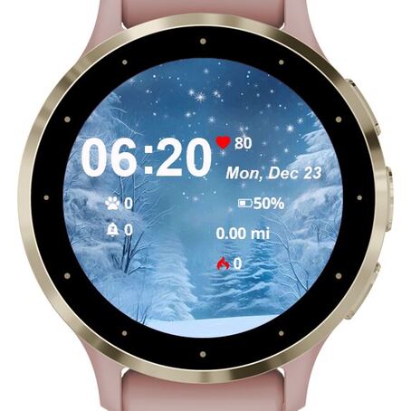 Starry Winter Night