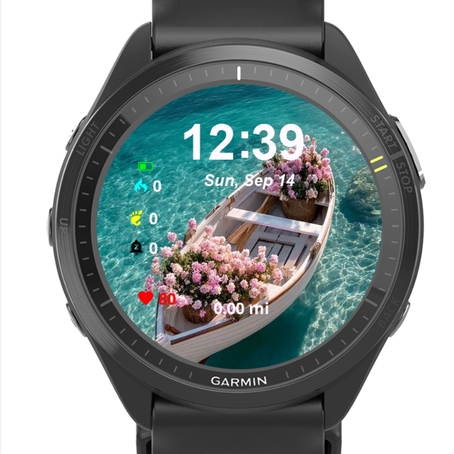 Flowers Boat