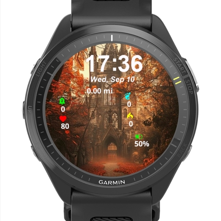 Castle Background