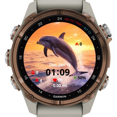 Dolphin