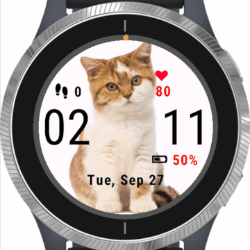 British Kitten Looking