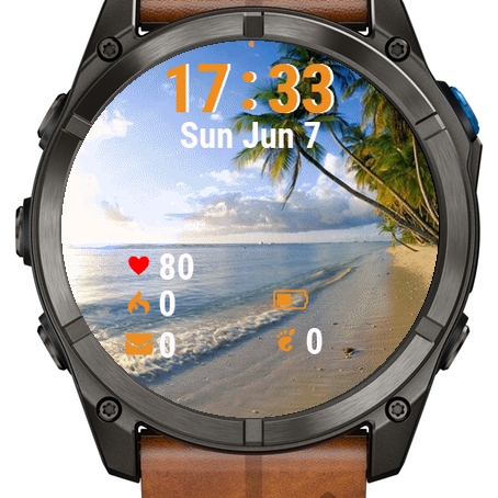 Beach Palm View