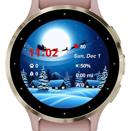 Happy Santa Claus