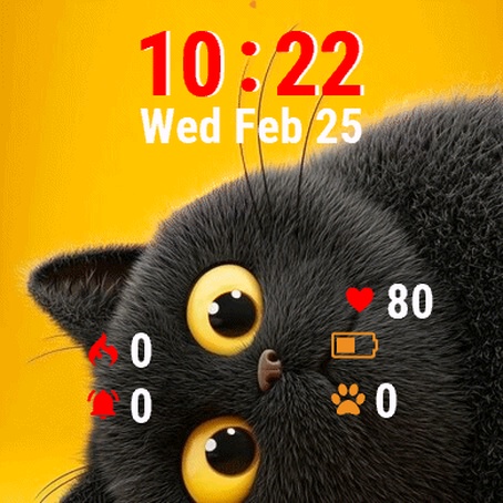 Black Cat Yellow