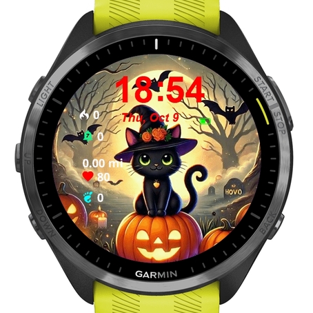 Cute Cat Halloween