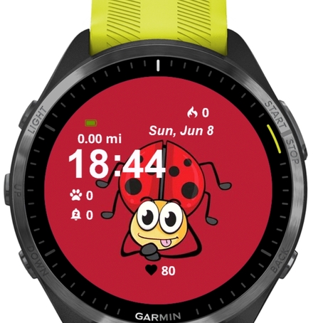 Cute Ladybug