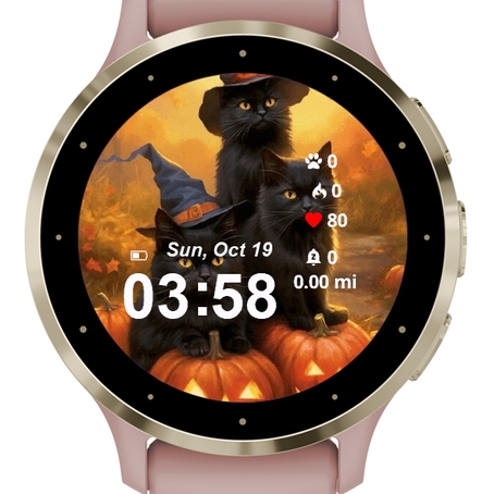 Halloween Cat