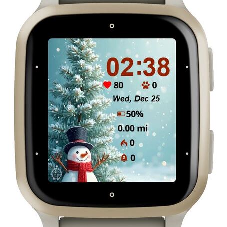 Little Snowman