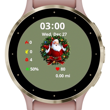 Merry Christmas Santa