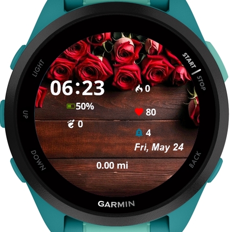 Red Roses Background