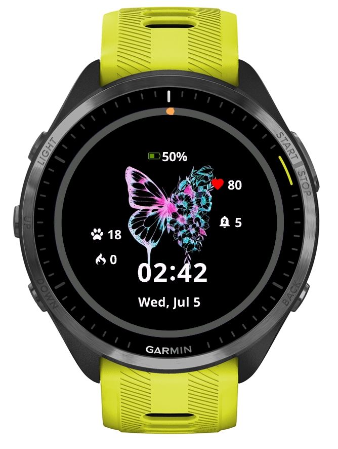 Butterfly Arthestic