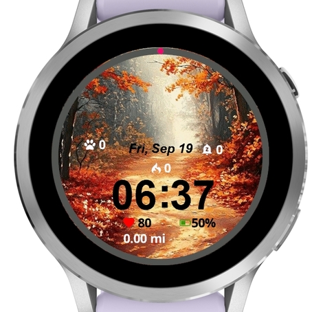 Forest Autumn #1