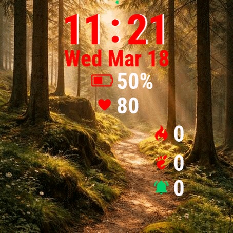 Path Through Forest