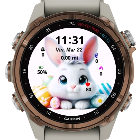 Little Cute Bunny
