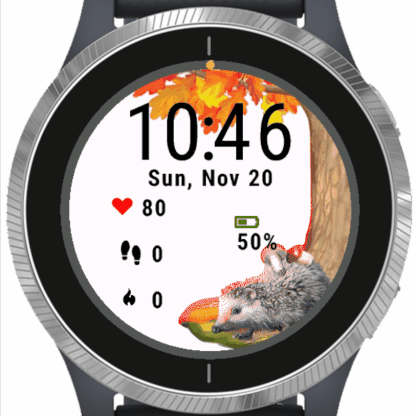 Hedgehog Autumn