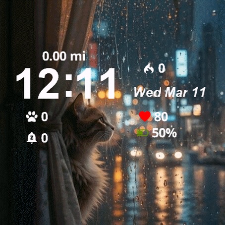 Rainy Cat Window