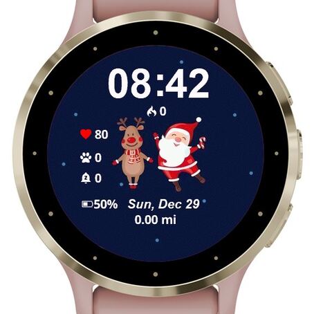 Family Santa