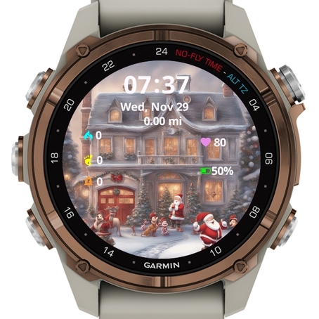 House Santa