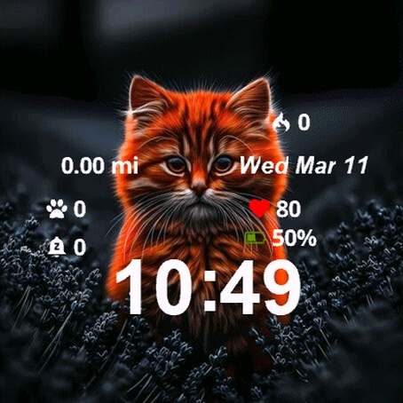 Cat Glowing Face