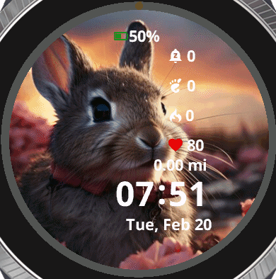Rabbit