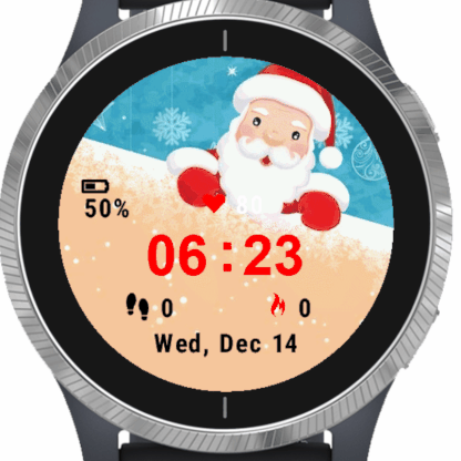 Beach Santa