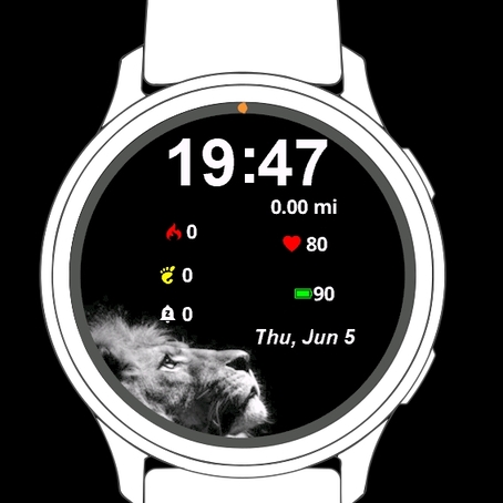 Lion Black