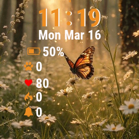 Butterfly Flying