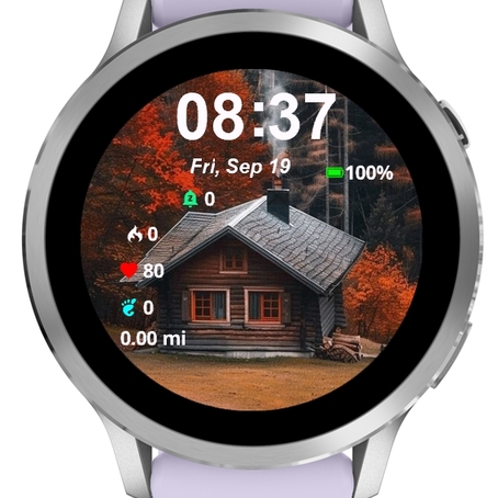 Mountain Cabin