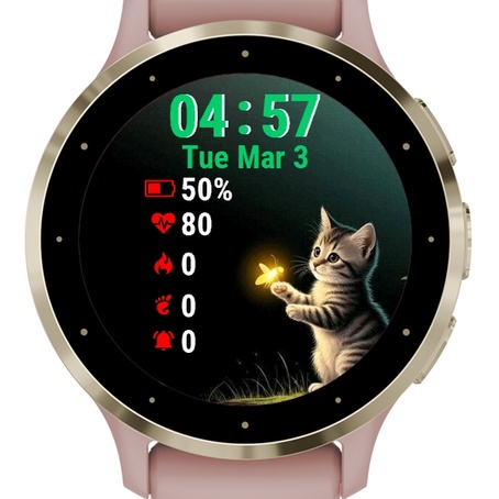 Cat Is Looking At Light Dark