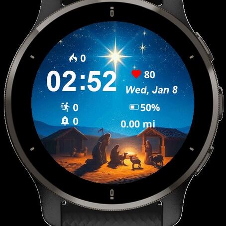 The Nativity Scene Under the Starry