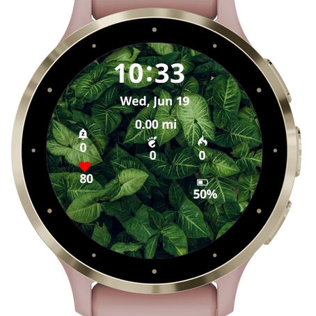 Green Leaf Background