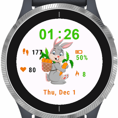 Rabbit