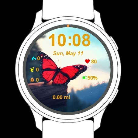 Orange Butterfly