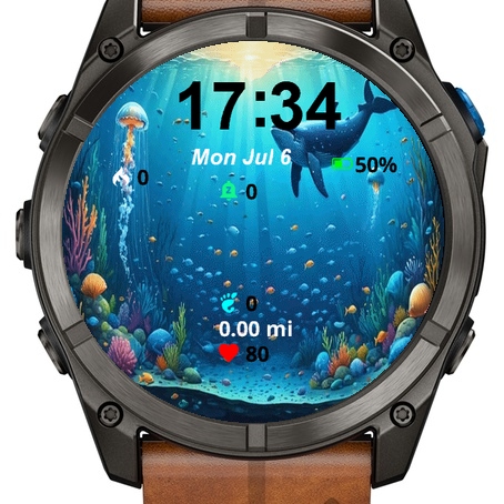 Underwater Scene Whale Jelly