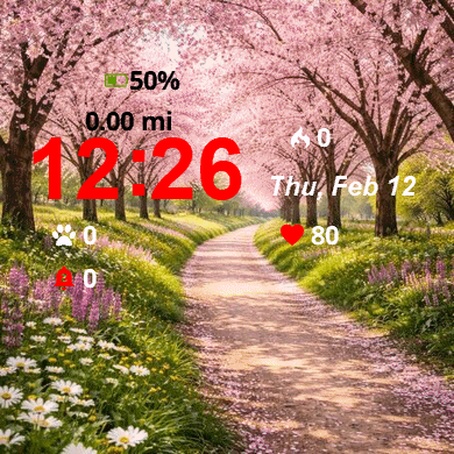 Cherry Blossom Trees Blooming Park