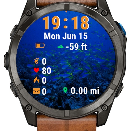 Fish Swimming Over Coral