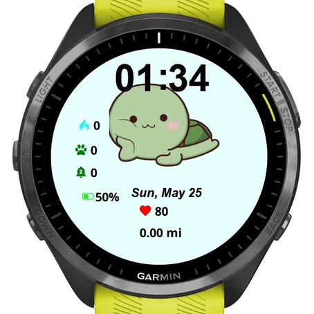 Cute Turtle