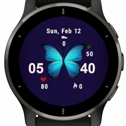 Butterfly