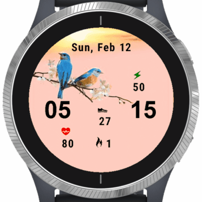 Nature Birds
