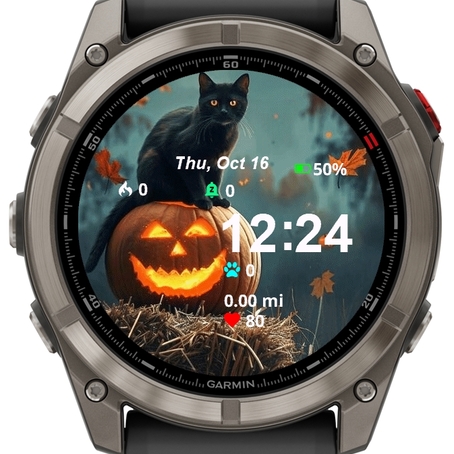 Halloween Cat