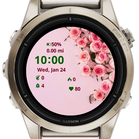 Roses Pink