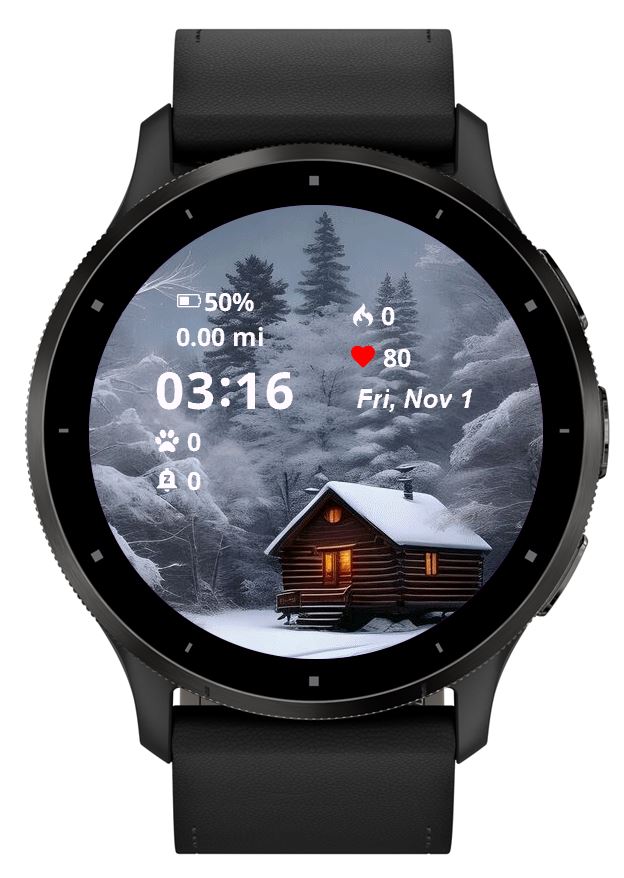 Winter House